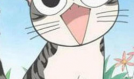 动漫猫猫,动漫世界的奇幻冒险之旅