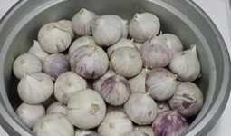 黑蒜的制作方法视频,传统与现代的完美融合